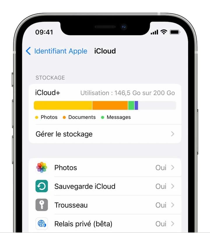 Analyse de la répartition du stockage iCloud+ sur iPhone montrant l'espace utilisé par Photos, Documents et Messages.